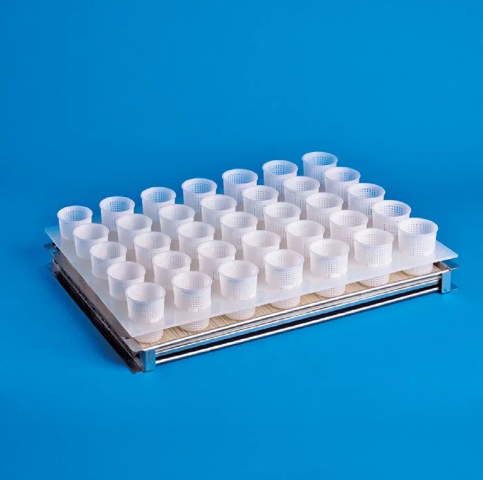 Forma 35 Multiforme 125Gr P00785/35