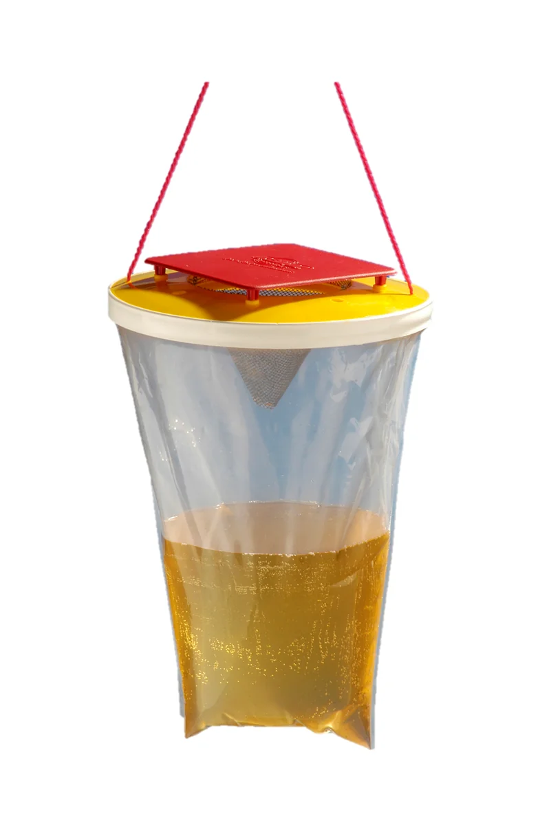 Redtop Capcana Pentru Viespi Unica Folosinta L 3L 30300