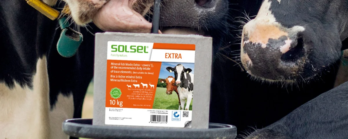 Solsel Sare Cu Minerale Extra Bloc 10 Kg