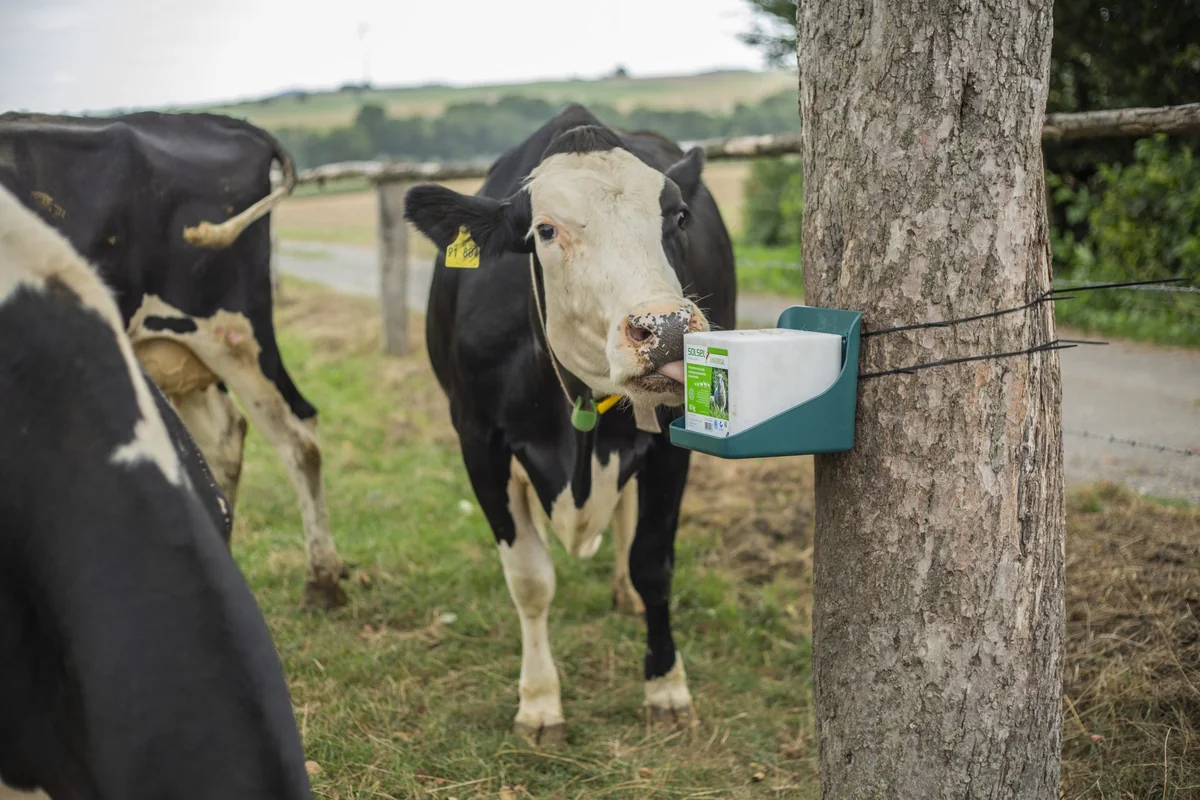 Solsel Sare Cu Minerale Universal Bloc 10 Kg