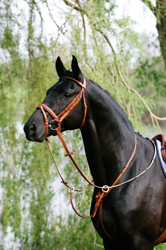 Martingala CTD 7050 Choco Full