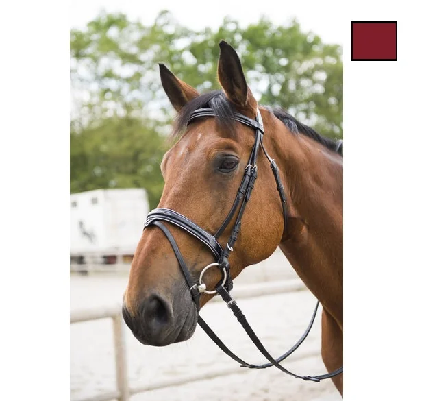 Frau+Capastru Havana 301970018