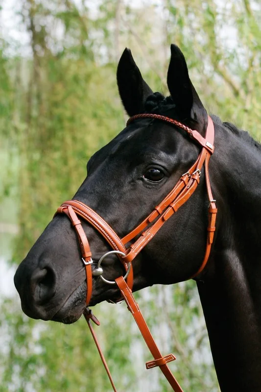 Frau+Darlog Piele ''Dublin'' Ebony