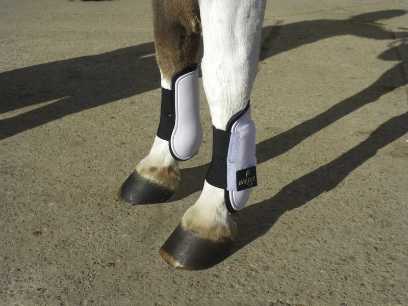 Protectii Tendon Shetl Burgundy 530745033