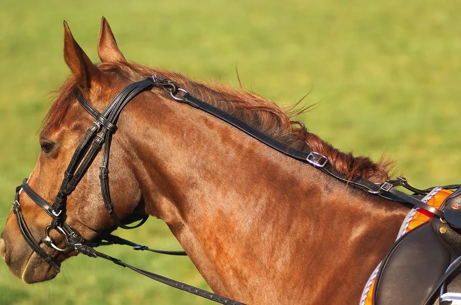 Martingala Piele 306392002