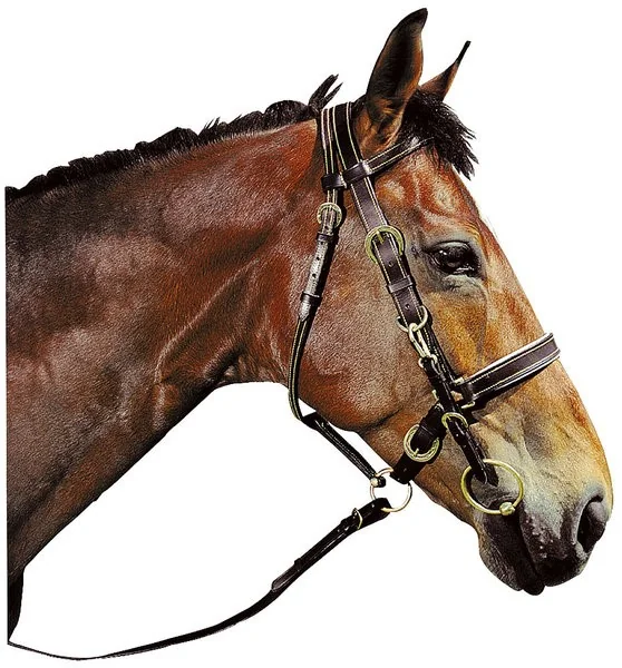 Capastru Piele Excelsior 802001018