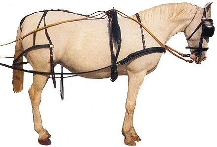 Ham Popular Simplu 406 Negru Mini Shetland