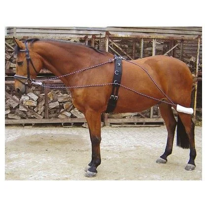 Harry's Horse Lunging Rein 2840070