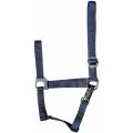 Harry's Horse Capastru Nylon Cob Albastru 3100922