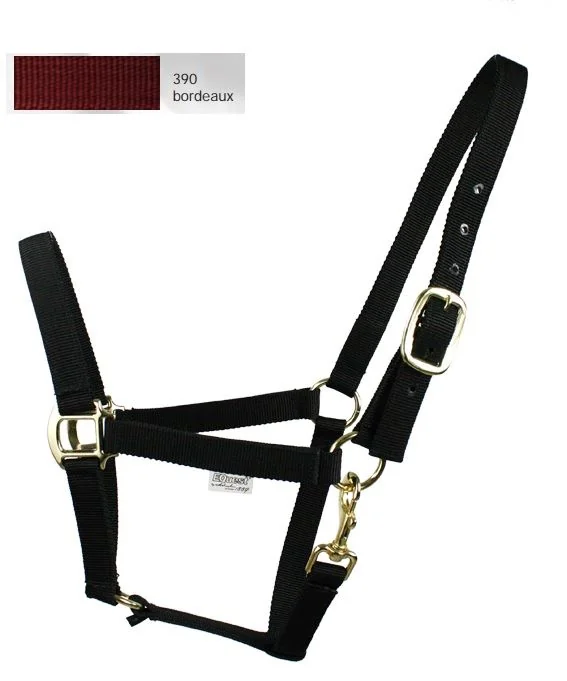 Equest Capastru Xtreme Xl 111900-390 Bordeaux