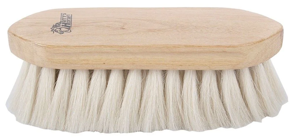 Harry's Horse Perie Cai Dandy 3630006