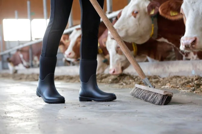 Kerbl Cizme Neolite NR 44 3222100