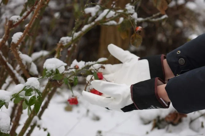 Kerbl Manusi Lucru Iarna Arktic Nr 10/XL 297994