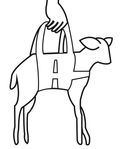 Kerbl Ham Pentru Cantarire Animale 27473