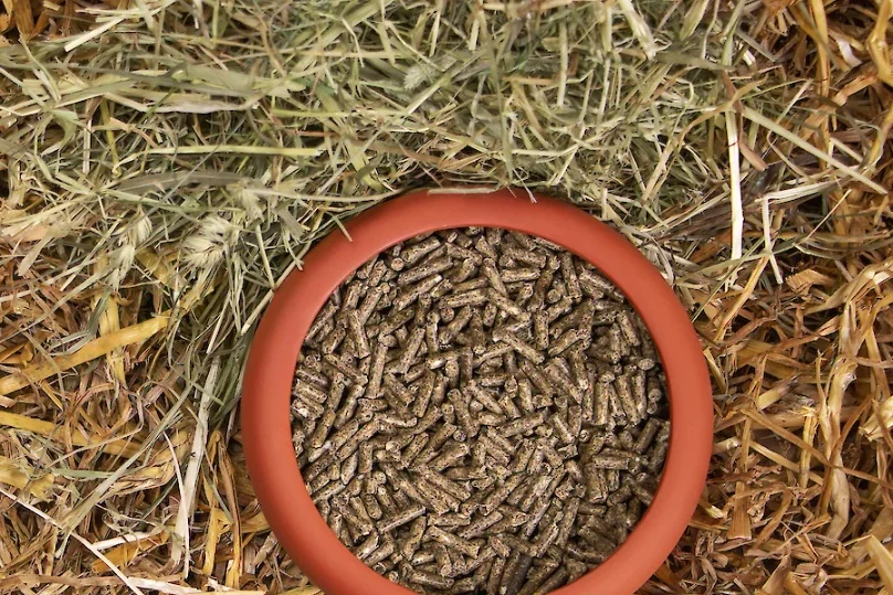 Deukanin Hrana Iepuri Energie 25 kg 345062025