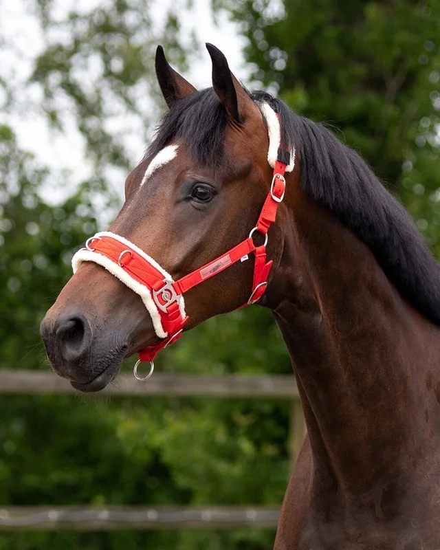 Capastru Caveson Silon Full 722291