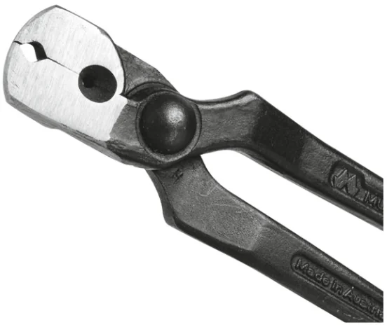 Cleste Caiele 60017 FP