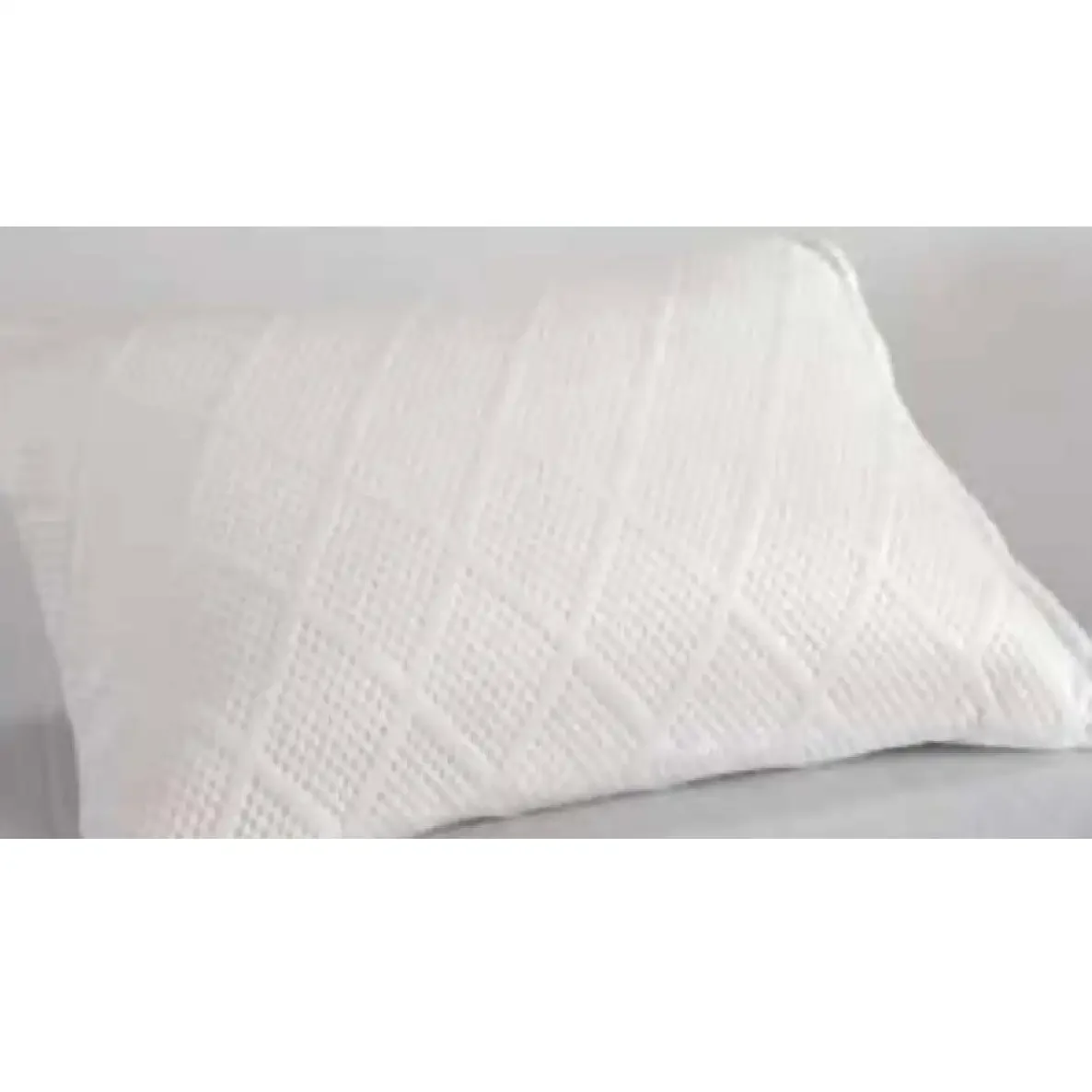 Perna Visco, Homs 50 x 70 cm.00200