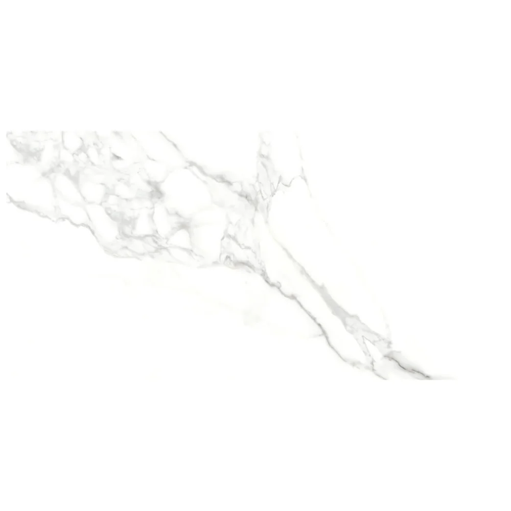 Gresie Exterior / Interior Portelanata Eternal White 30 x 60 Cm Mata Rectificata Tip Marmura