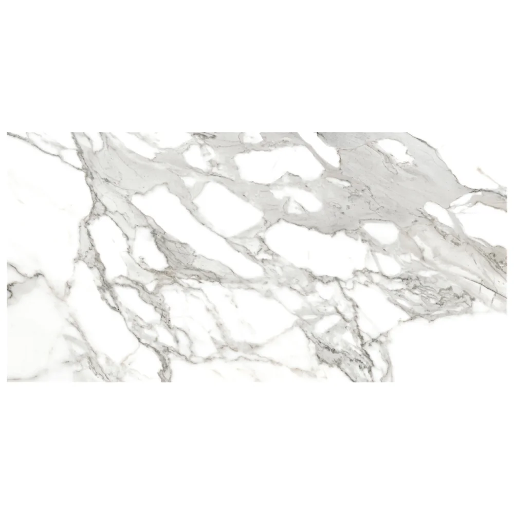 Gresie Exterior / Interior Portelanata Eternal White 30 x 60 Cm Mata Rectificata Tip Marmura