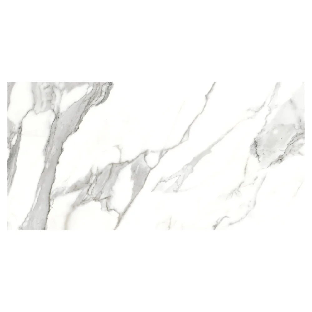 Gresie Exterior / Interior Portelanata Eternal White 30 x 60 Cm Mata Rectificata Tip Marmura