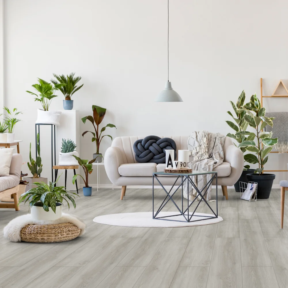 Parchet Laminat Colosseum Plus Milano 8 mm Clasa 21 AC1