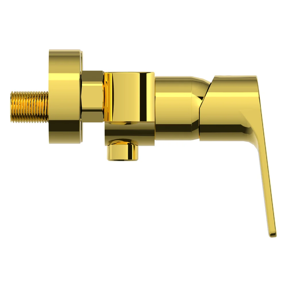 Baterie Perete Duș Celesta Aria Monocomandă Auriu