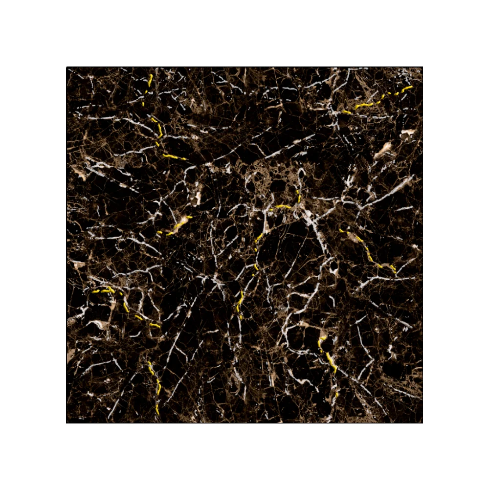 Gresie Exterior / Interior Porțelanată Royal Black 60 x 60 cm Lucioasă Rectificată Tip Marmură