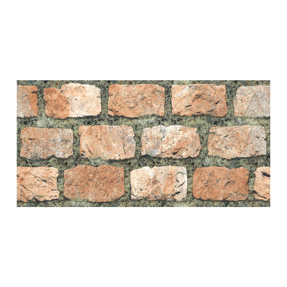 Placa Murala Portelanata 1363 30 X 60 Mata