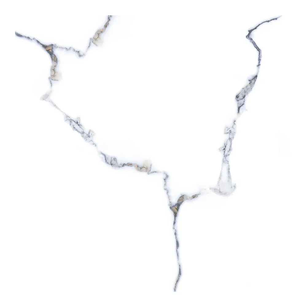 Gresie Exterior / Interior Portelanata Fossil Satvario 60 X 60 Cm Lucioasa Rectificata Tip Marmura