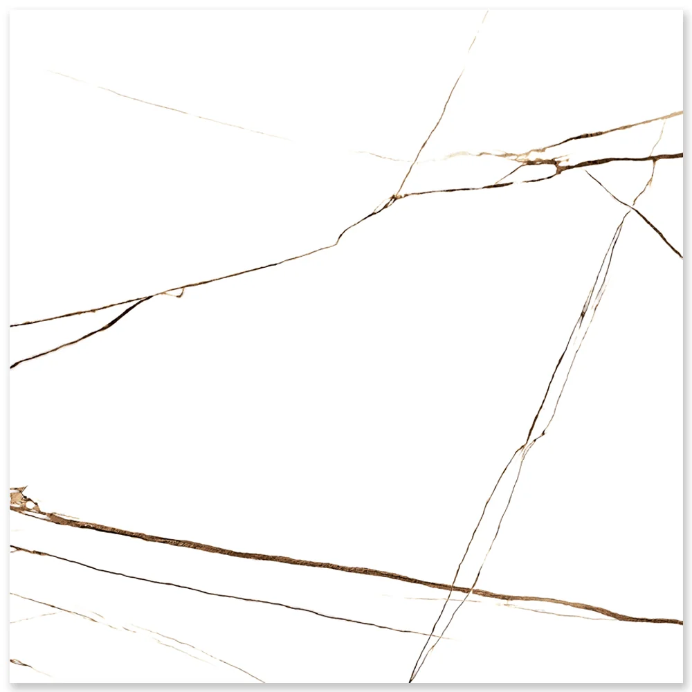Gresie Exterior / Interior Porțelanată Seth 60.5 x 60.5 cm Lucioasă Tip Marmură