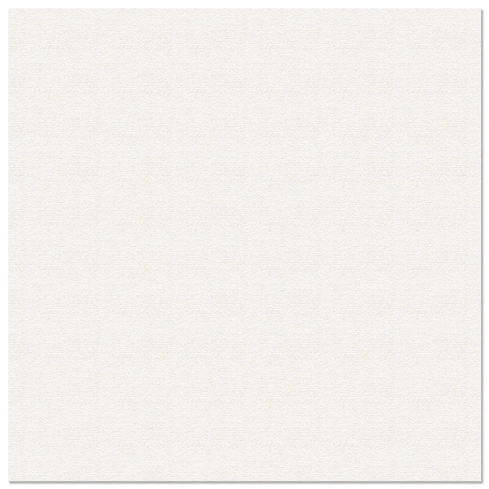 Gresie Exterior / Interior Porțelanată Frame 60.5 x 60.5 cm Mată