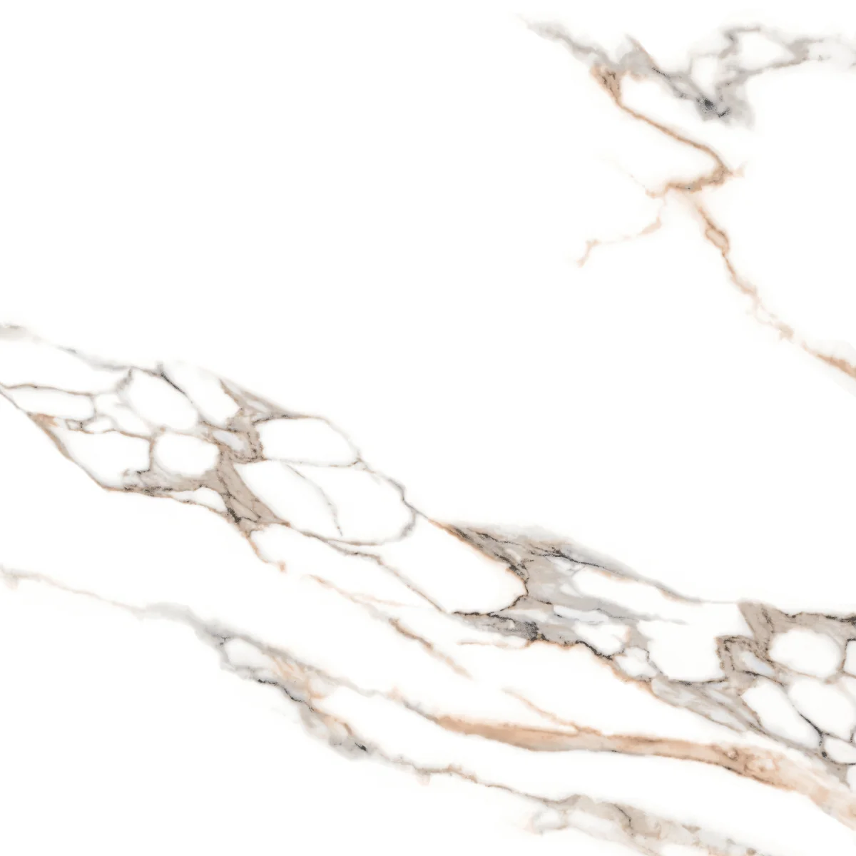 Gresie Exterior / Interior Portelanata Malzini 48 x 48 cm Lucioasa Tip Marmura