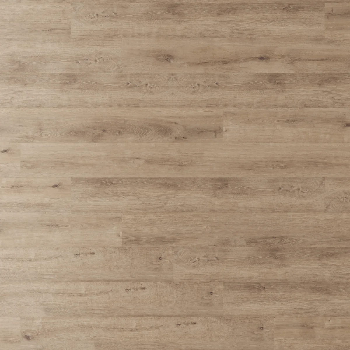 Parchet Laminat Silver Sakarya Oak 8 mm Clasa 31 AC3
