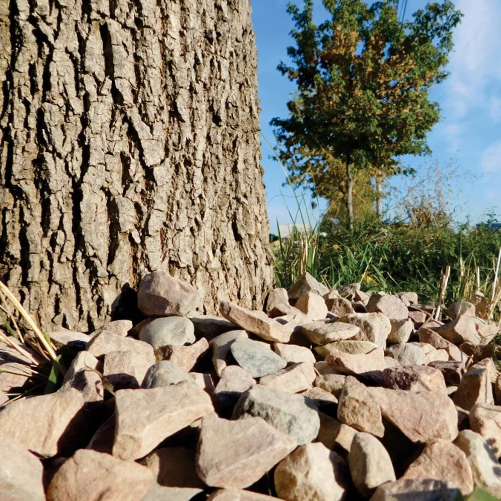 Piatra Decorativa Gradina