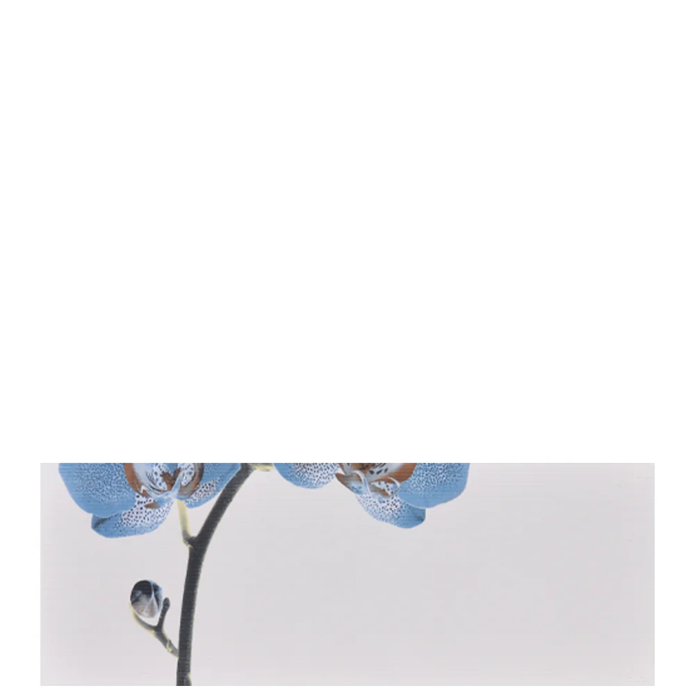 Faianta Decorativa 1015 HL 3 20 x 60