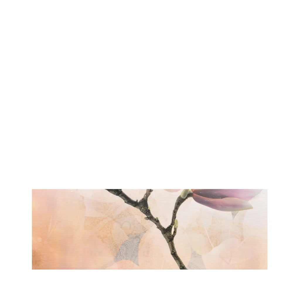 Faianta Decorativa 1002 HL 3 20 x 60