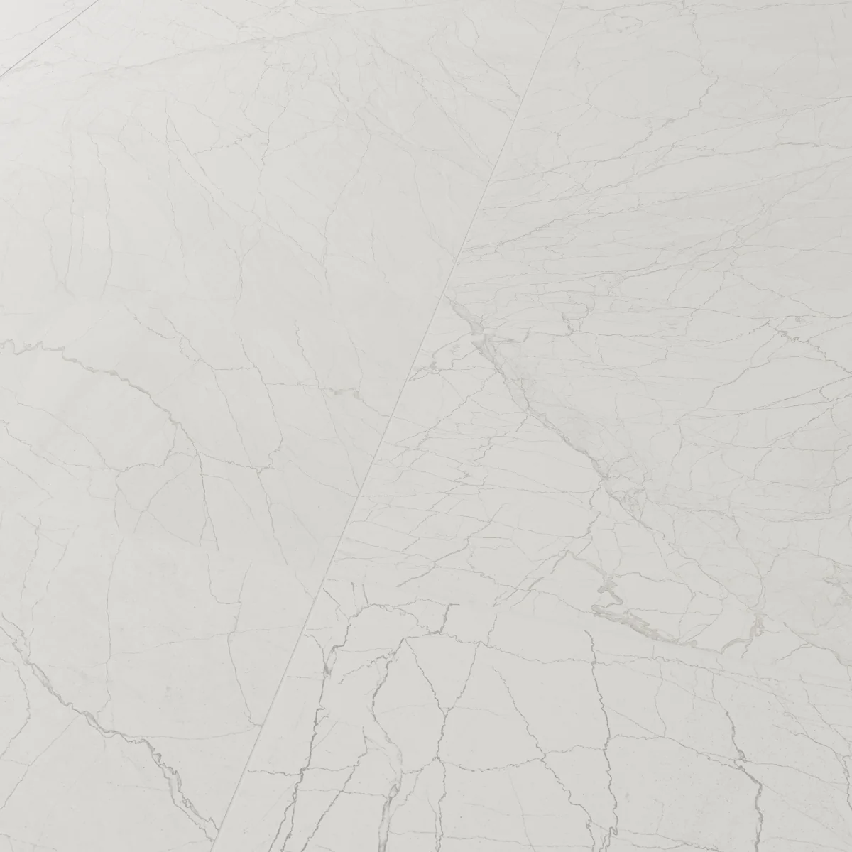 Gresie Portelanata Exterior / Interior Blueberry White 60 x 120 cm Mata Rectificata Tip Marmura