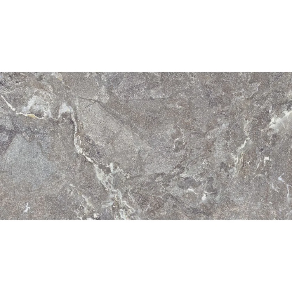 Gresie Antiderapantă Exterior / Interior Snake Stone Grey 60 x 120 cm Mată Porțelanată Rectificată Aspect Ciment