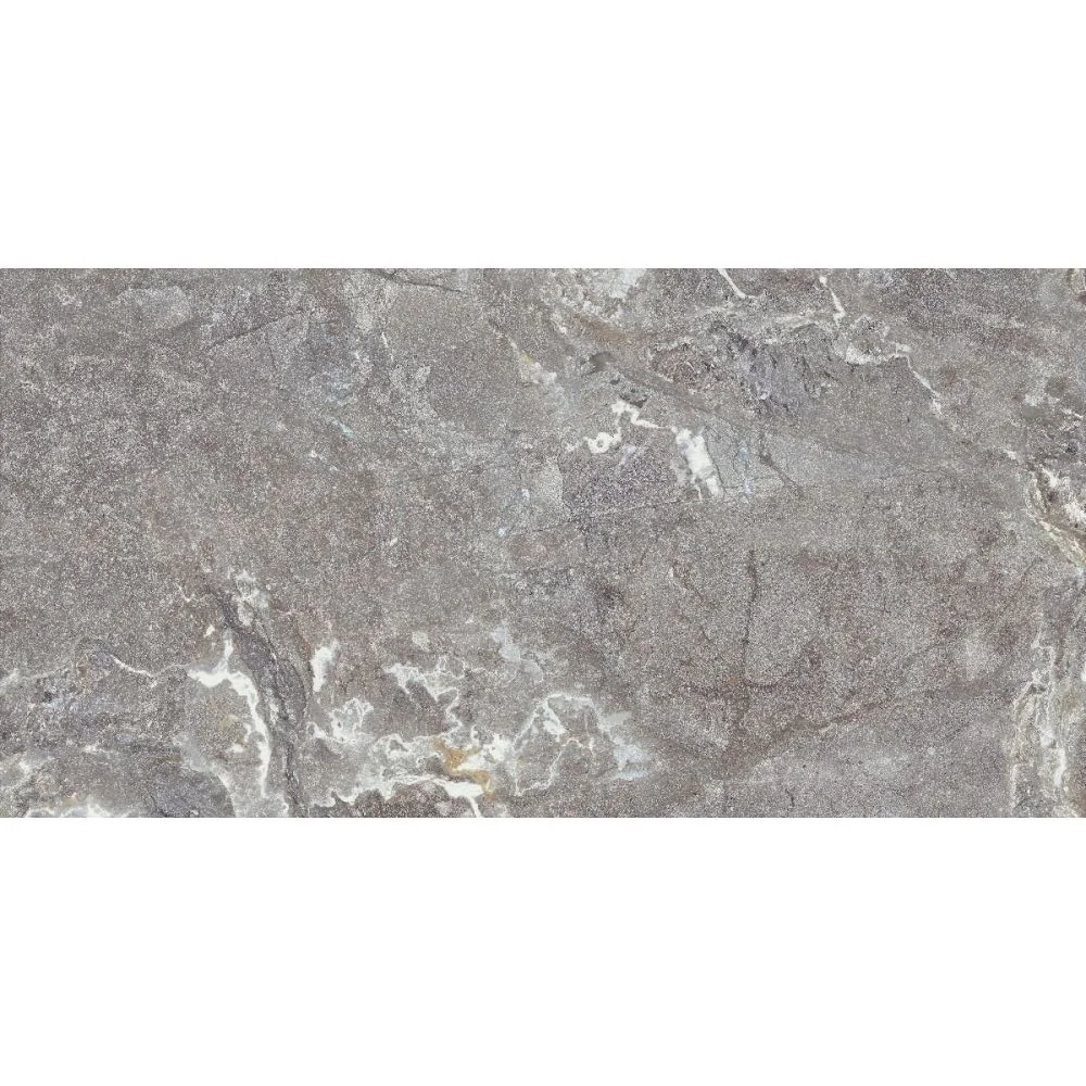 Gresie Antiderapantă Exterior / Interior Snake Stone Grey 60 x 120 cm Mată Porțelanată Rectificată Aspect Ciment