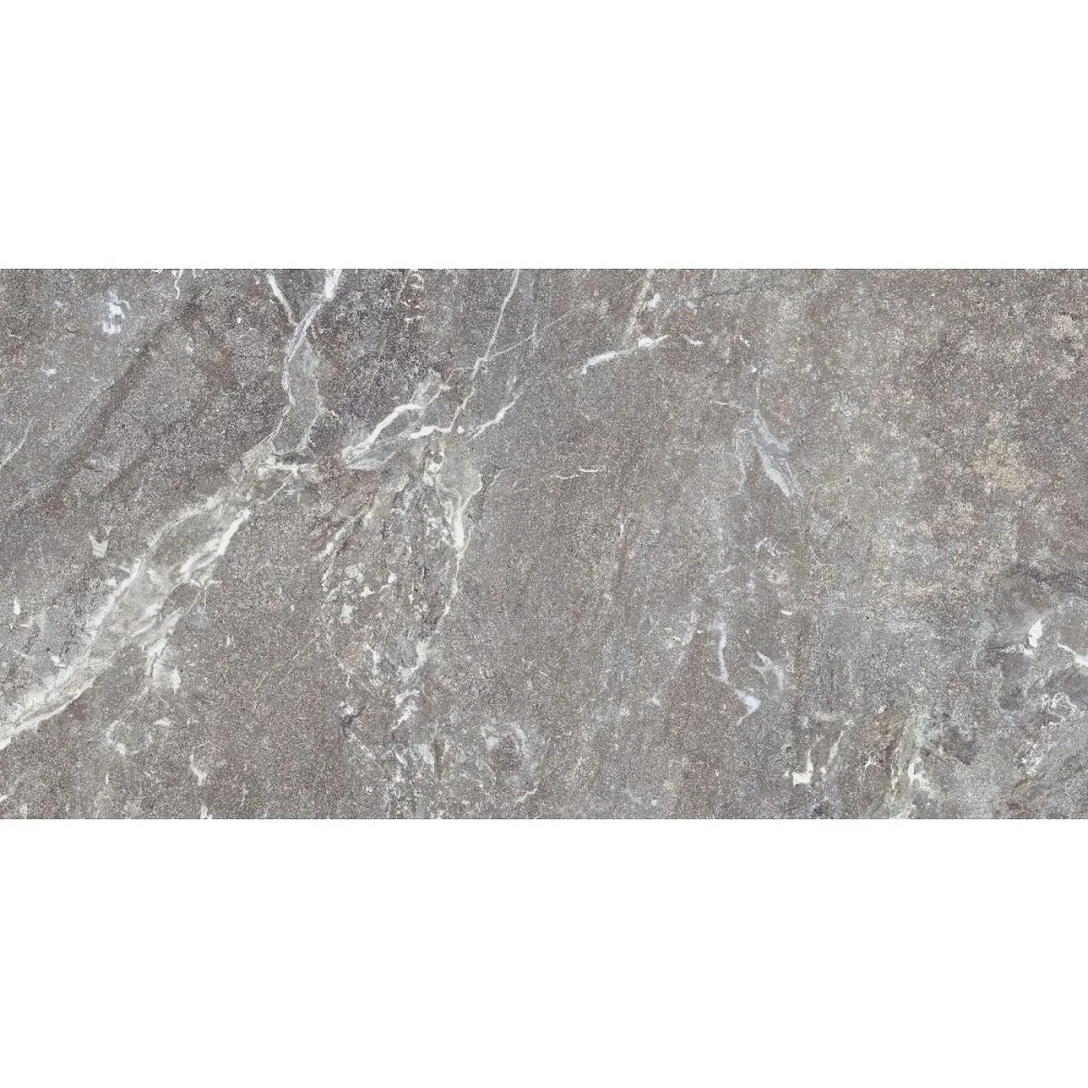 Gresie Antiderapantă Exterior / Interior Snake Stone Grey 60 x 120 cm Mată Porțelanată Rectificată Aspect Ciment
