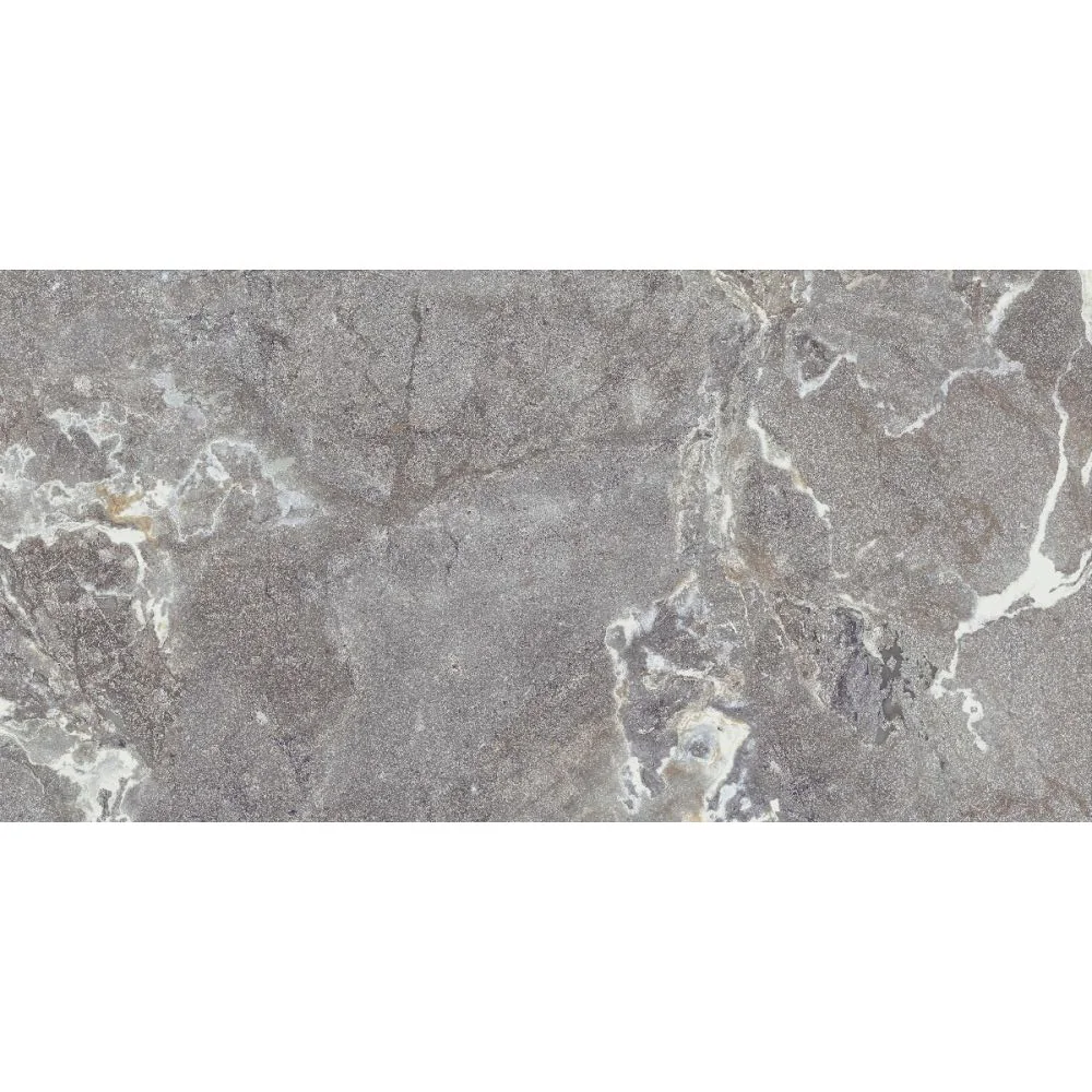 Gresie Antiderapantă Exterior / Interior Snake Stone Grey 60 x 120 cm Mată Porțelanată Rectificată Aspect Ciment