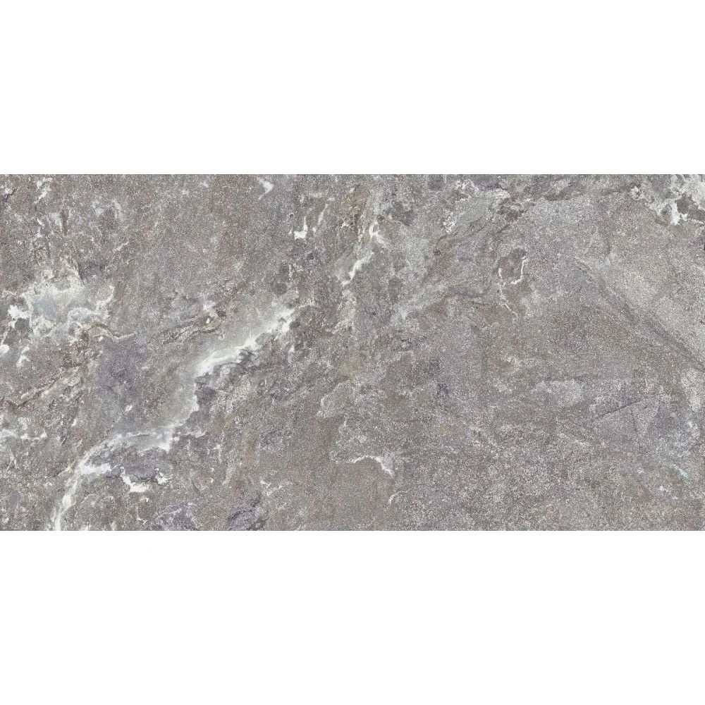 Gresie Antiderapantă Exterior / Interior Snake Stone Grey 60 x 120 cm Mată Porțelanată Rectificată Aspect Ciment