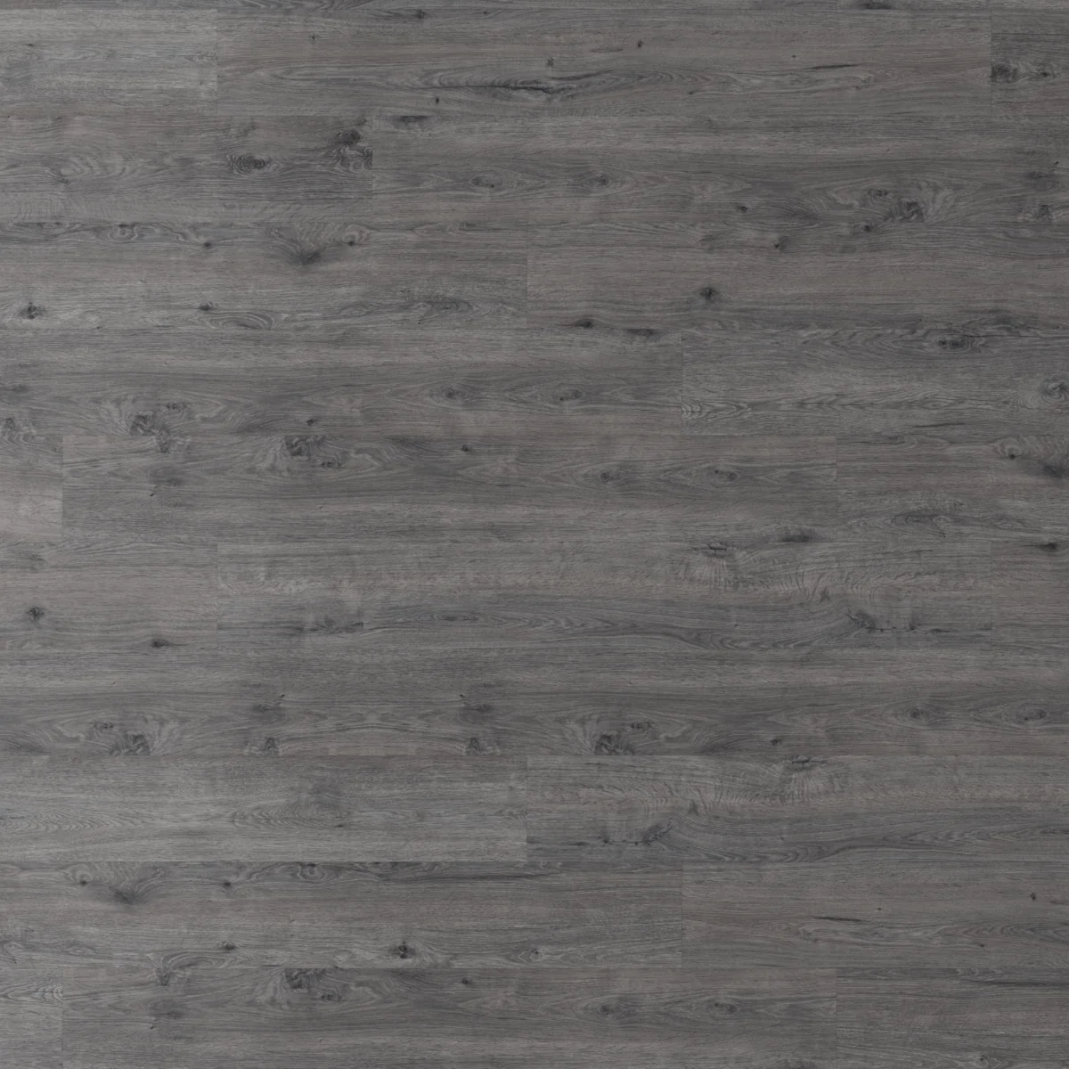 Parchet Laminat Silver Pantheon 8 mm Clasa 31 AC3