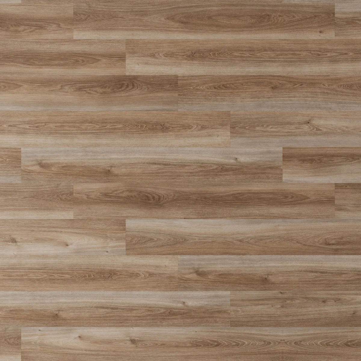 Parchet Laminat Silver Polar Oak 8 mm Clasa 31 AC3