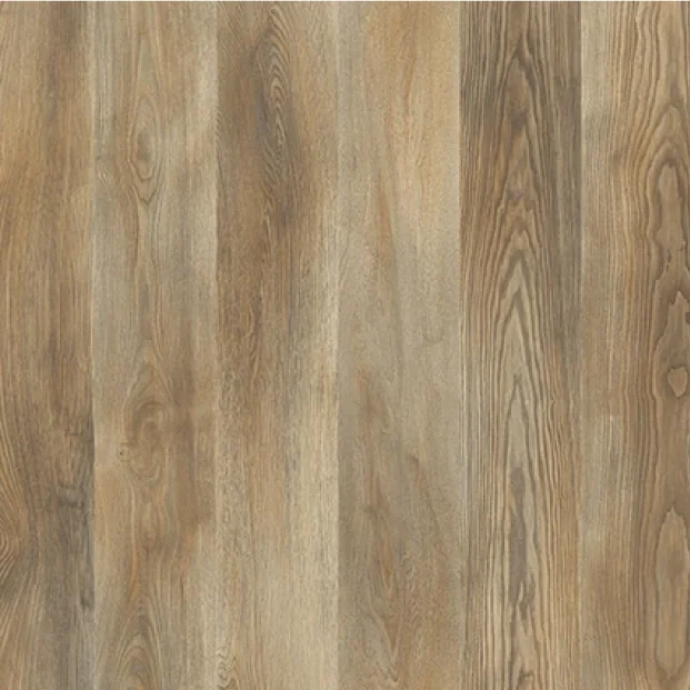 Parchet Laminat Marco Polo Premium Caledonia 12 mm Clasa 33 AC5