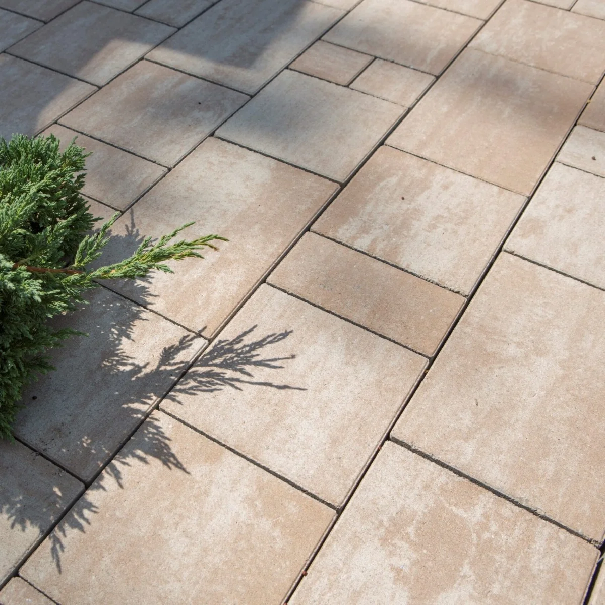 Pavaj City Trio Combi 4 cm Latte