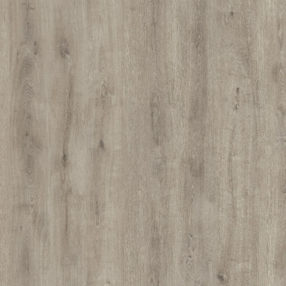 Parchet Laminat Silver Acar Oak 8 mm Clasa 31 AC3