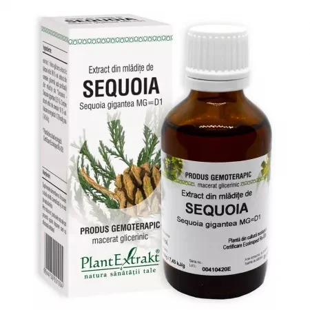 Extract din mladite de sequoia, 50ml, PlantExtrakt