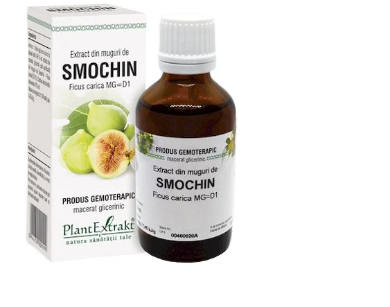 Extract Din Muguri De Smochin, 50ml, PlantExtrakt
